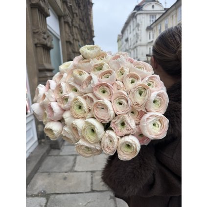 Ranunkulus XL