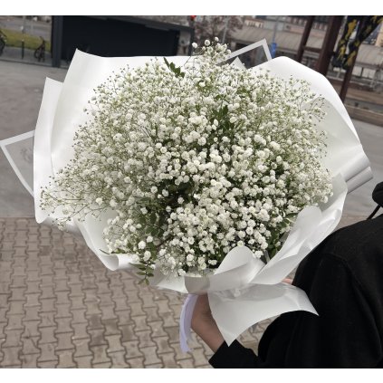 Gypsophilla bílá