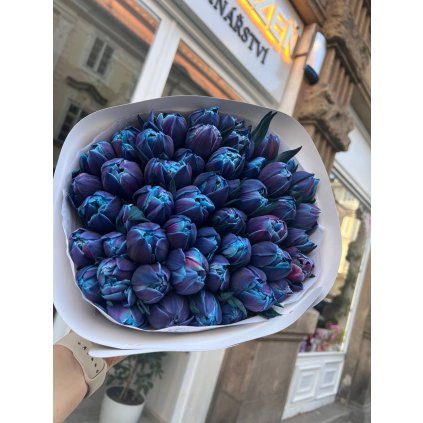 Pivoňkové tulipány modré