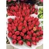 Tulipány red Xl