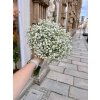 Svatební kytice z gypsophilly