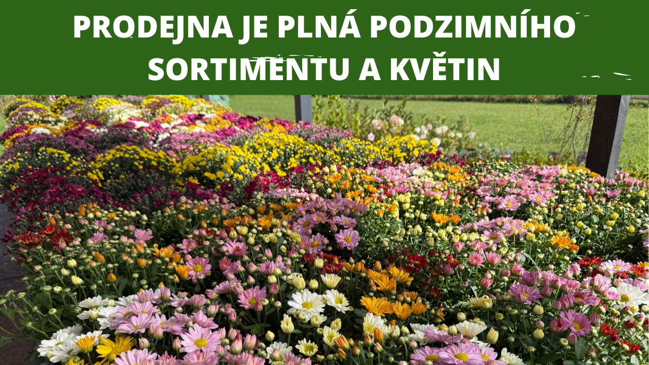 podzimní prodejna