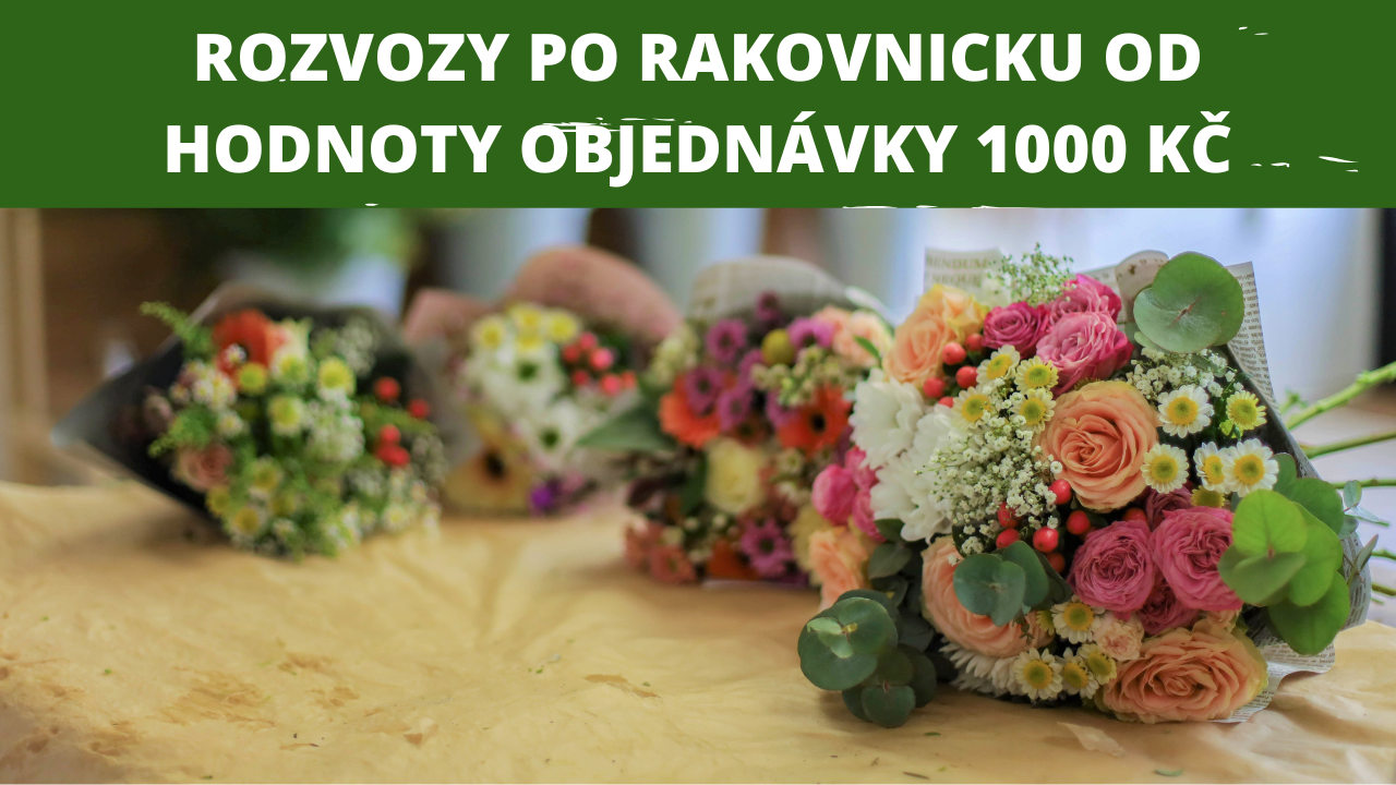ROZVOZY