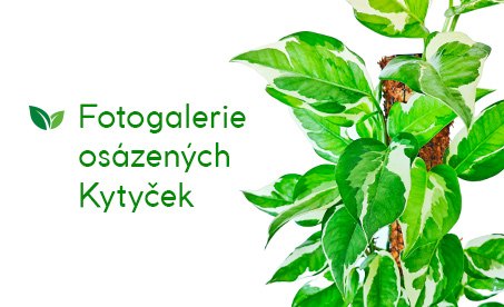 Fotogalerie banner bottom