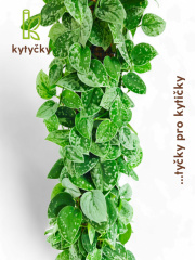  Rašeliníková tyč | alternativa kokosové tyče | Kytyčky