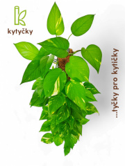  Rašeliníková tyč | značka Kytyčky