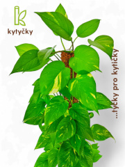  Rašeliníková tyč | alternativa kokosové tyče | Kytyčky