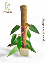 Rašeliníková tyč | mechová tyč | Kytyčky
