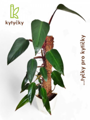  Rašeliníková tyč | značka Kytyčky