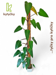  Rašeliníková tyč | alternativa kokosové tyče | Kytyčky