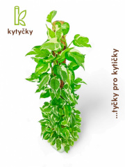  Rašeliníková tyč | alternativa kokosové tyče | Kytyčky