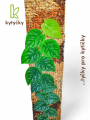 Rašeliníková tyč | mechová tyč | Kytyčky
