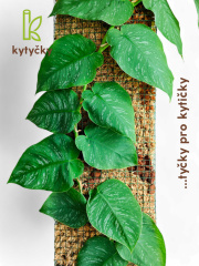  Rašeliníková tyč | opěrná tyč k rostlinám | Kytyčky