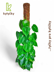 Rašeliníková tyč | mechová tyč | Kytyčky