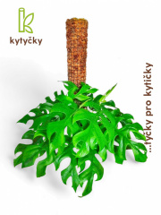  Rašeliníková tyč | opěrná tyč k rostlinám | Kytyčky