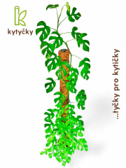 Rašeliníková tyč | značka Kytyčky