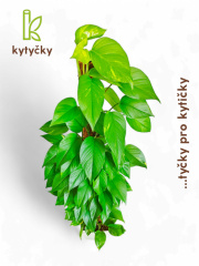  Rašeliníková tyč | alternativa kokosové tyče | Kytycky.cz