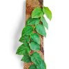 Kytyčka hranatá QUATTRO 20 TOP, 20 x 6 cm s vyměnitelným stojanem