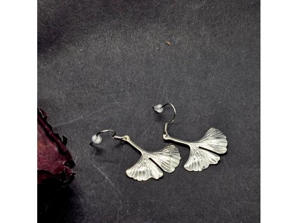 Ginko Náušnice (nerezová ocel, mosaz)1