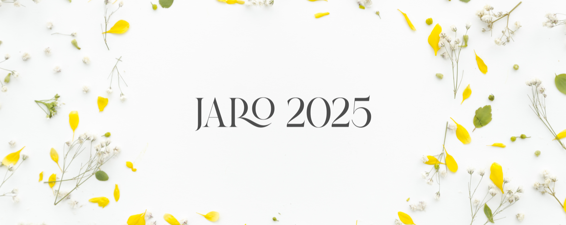 Kolekce jaro/léto 2025