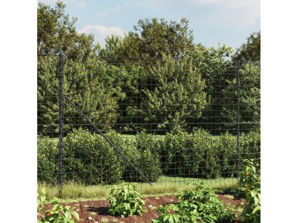 vidaXL Drôtený plot s kotviacimi hrotmi antracitový 1,6x10 m