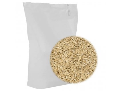 vidaXL Trávové semeno na športoviská 10 kg