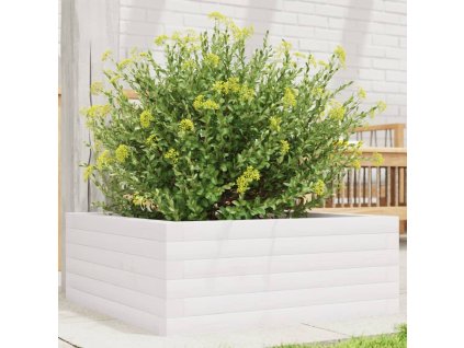 vidaXL Záhradný kvetináč biely 60x60x23 cm masívna borovica