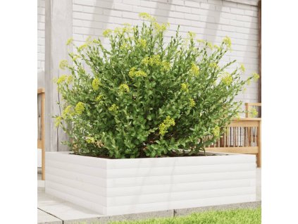 vidaXL Záhradný kvetináč biely 80x80x23 cm borovicový masív