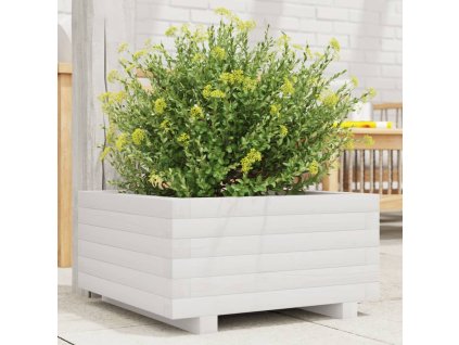 vidaXL Záhradný kvetináč biely 50x50x26,5 cm masívna borovica
