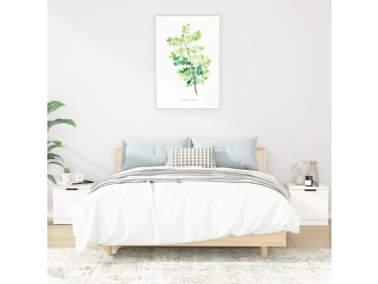 vidaXL Nočné stolíky 2 ks biele 40x39x40 cm