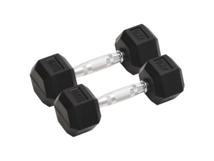 vidaXL Jednoručné činky 2 ks 8 kg celkové liatina