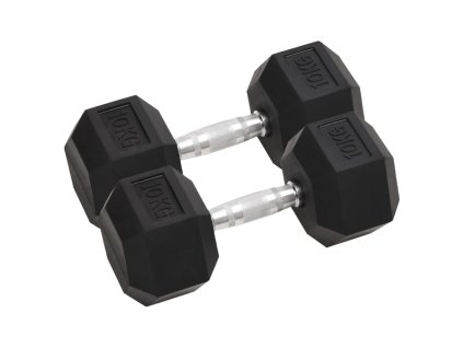 vidaXL Jednoručné činky 2 ks 20 kg celkové liatina