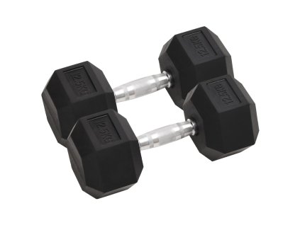 vidaXL Jednoručné činky 2 ks 25 kg celkové liatina