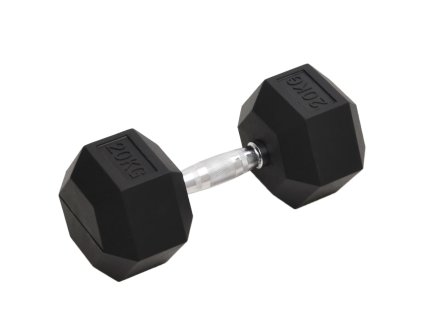 vidaXL Jednoručná činka 20 kg liatina