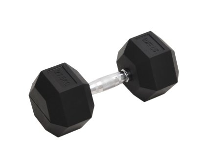 vidaXL Jednoručná činka 27,5 kg liatina