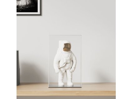 vidaXL Vitrína priehľadná 22x18x35 cm akryl