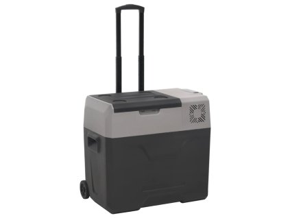 vidaXL Chladiaci box s kolieskom a rukoväťou čierno-sivý 40 l PP