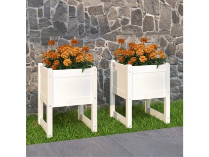 VidaXL Kvetináče 2 ks biele 40x40x52,5 cm masívna borovica