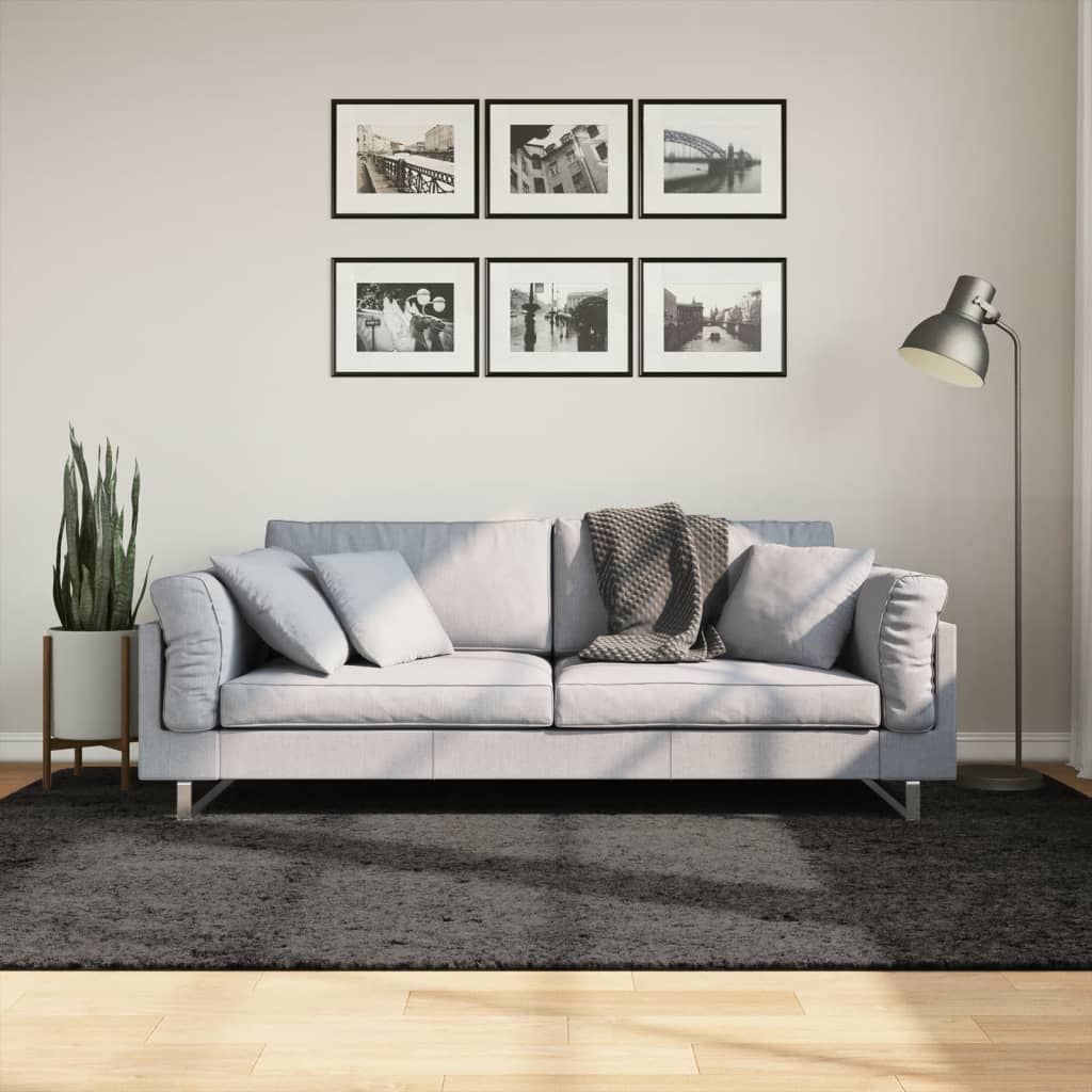 vidaXL Koberec ISTAN vysoký vlas lesklý vzhľad antracitový 160x230 cm
