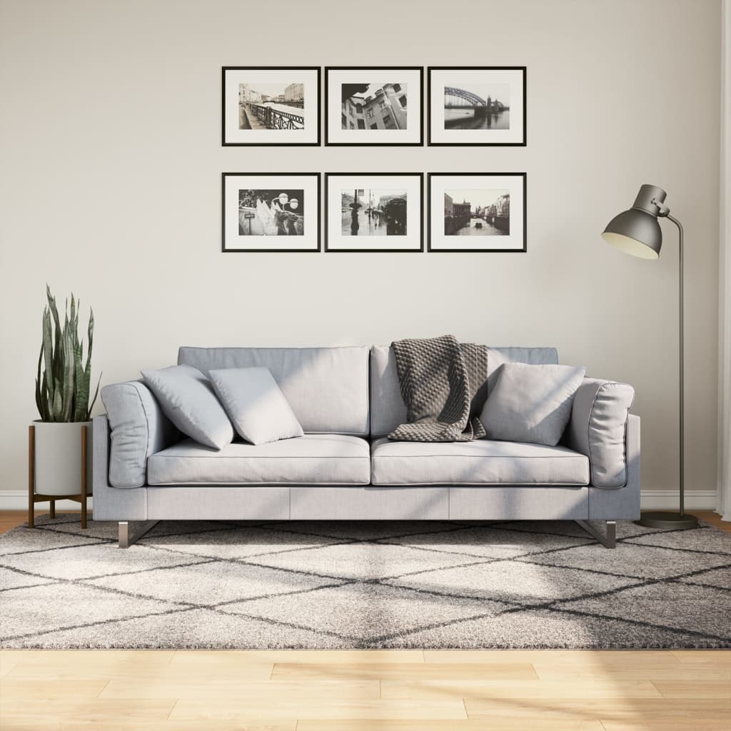 vidaXL Chlpatý koberec vysoký vlas moderný béžový a antracit 160x230cm