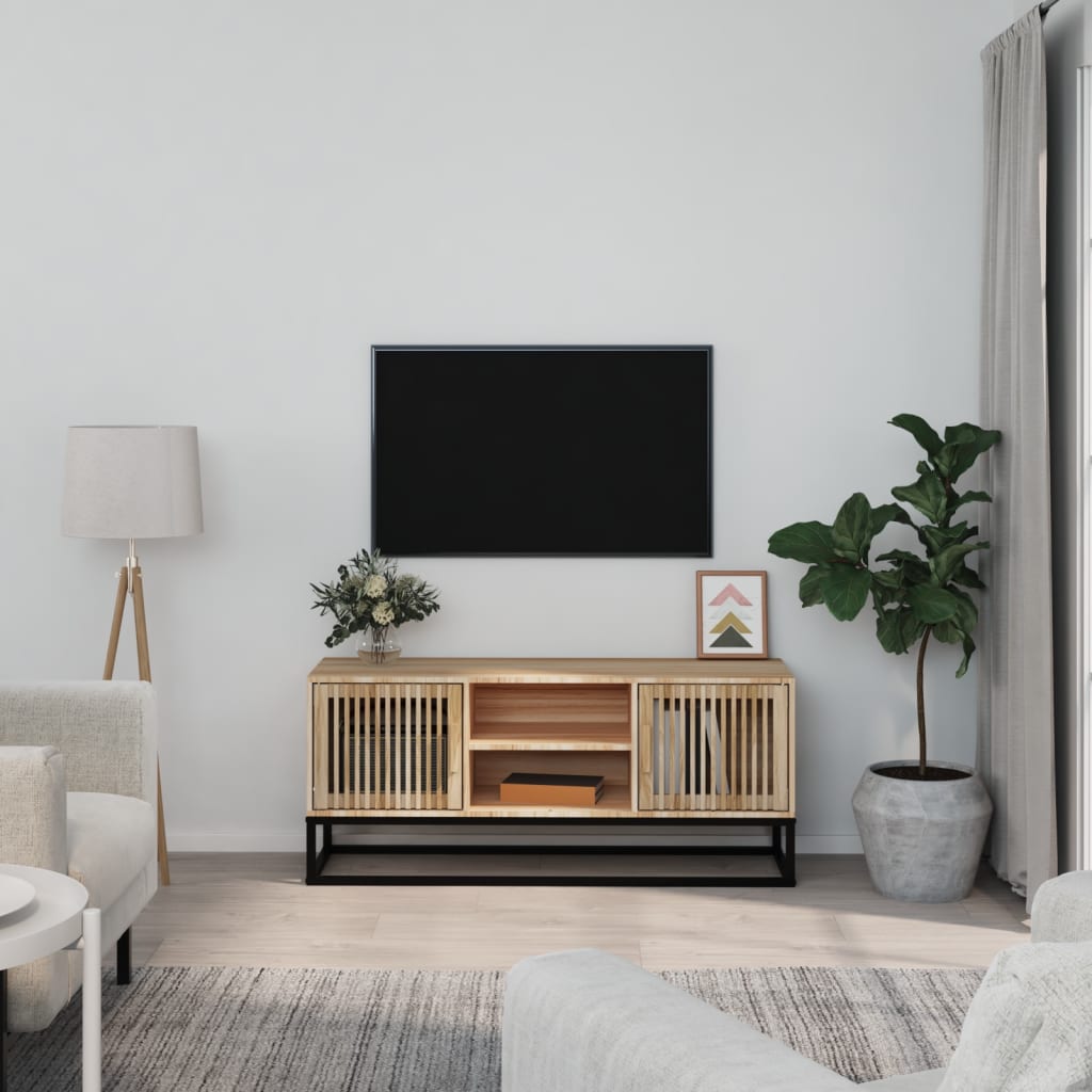 vidaXL TV skrinka 105x30x45 cm kompozitné drevo a železo