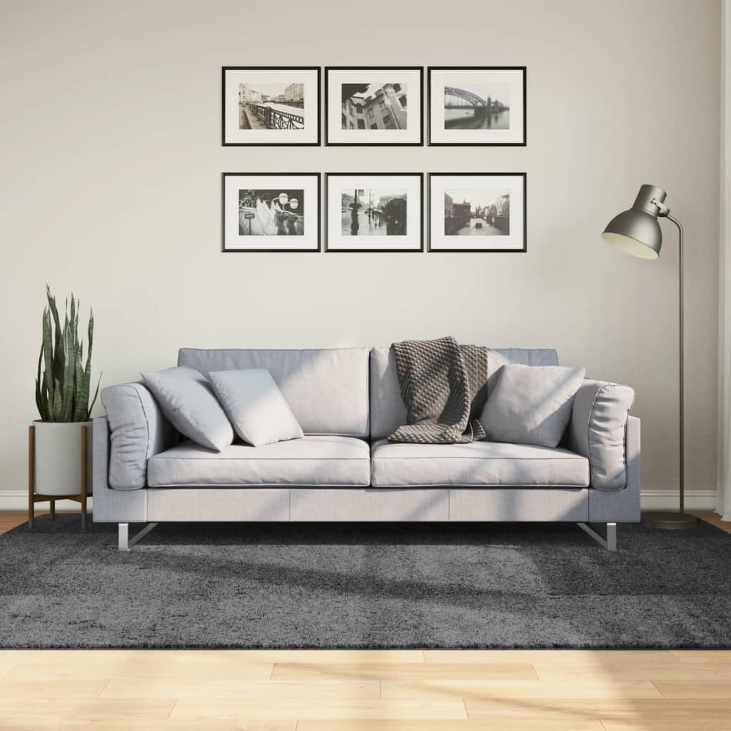 vidaXL Koberec OVIEDO krátky vlas antracitový 160x230 cm