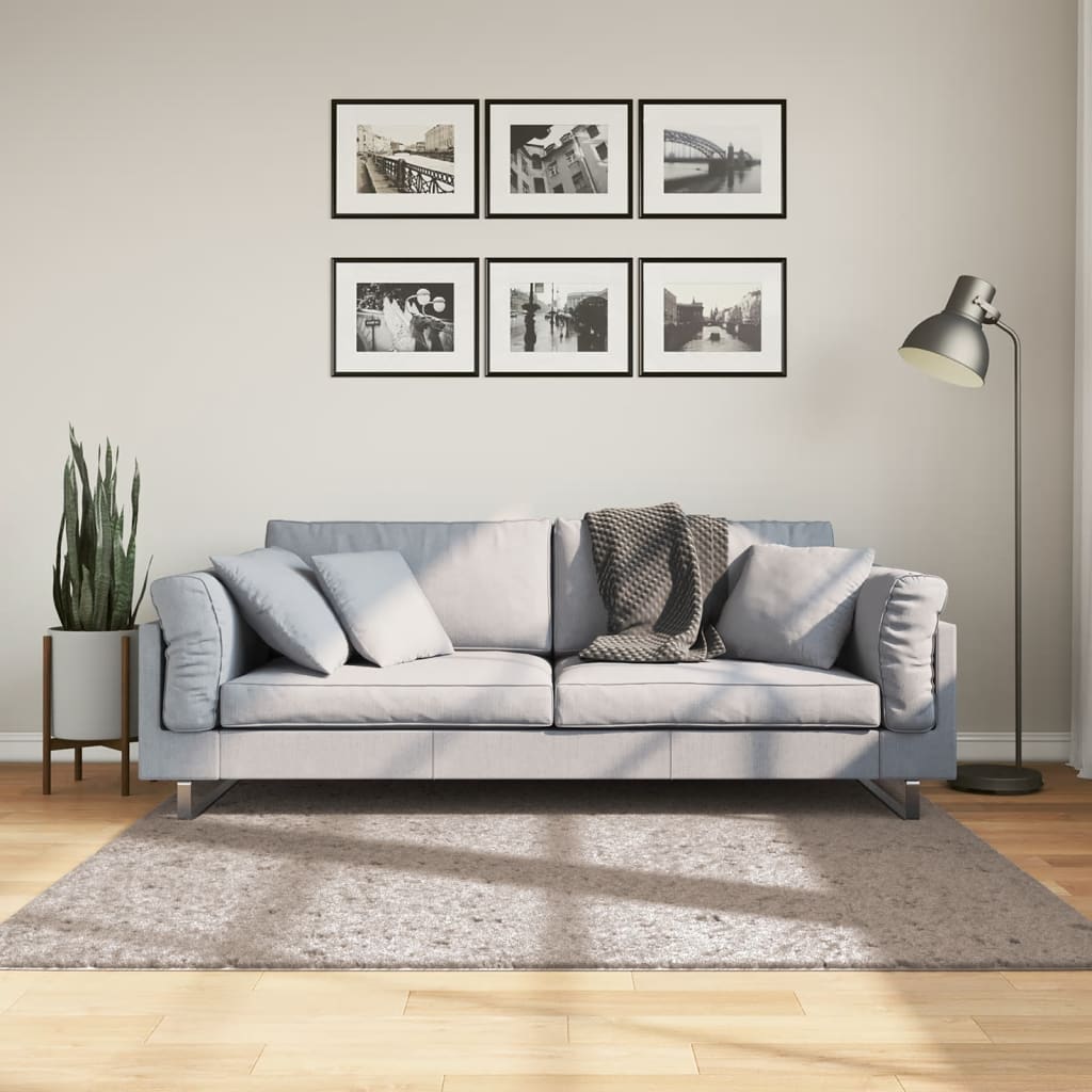 vidaXL Shaggy koberec PAMPLONA, vysoký vlas, moderný, béžový 160x160cm