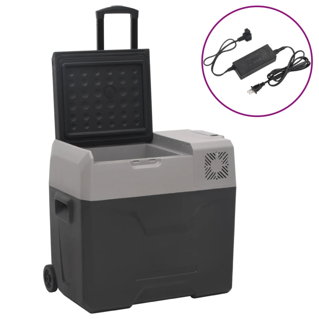 vidaXL Chladiaci box s kolieskom a adaptérom čierno-sivý 30 l PP