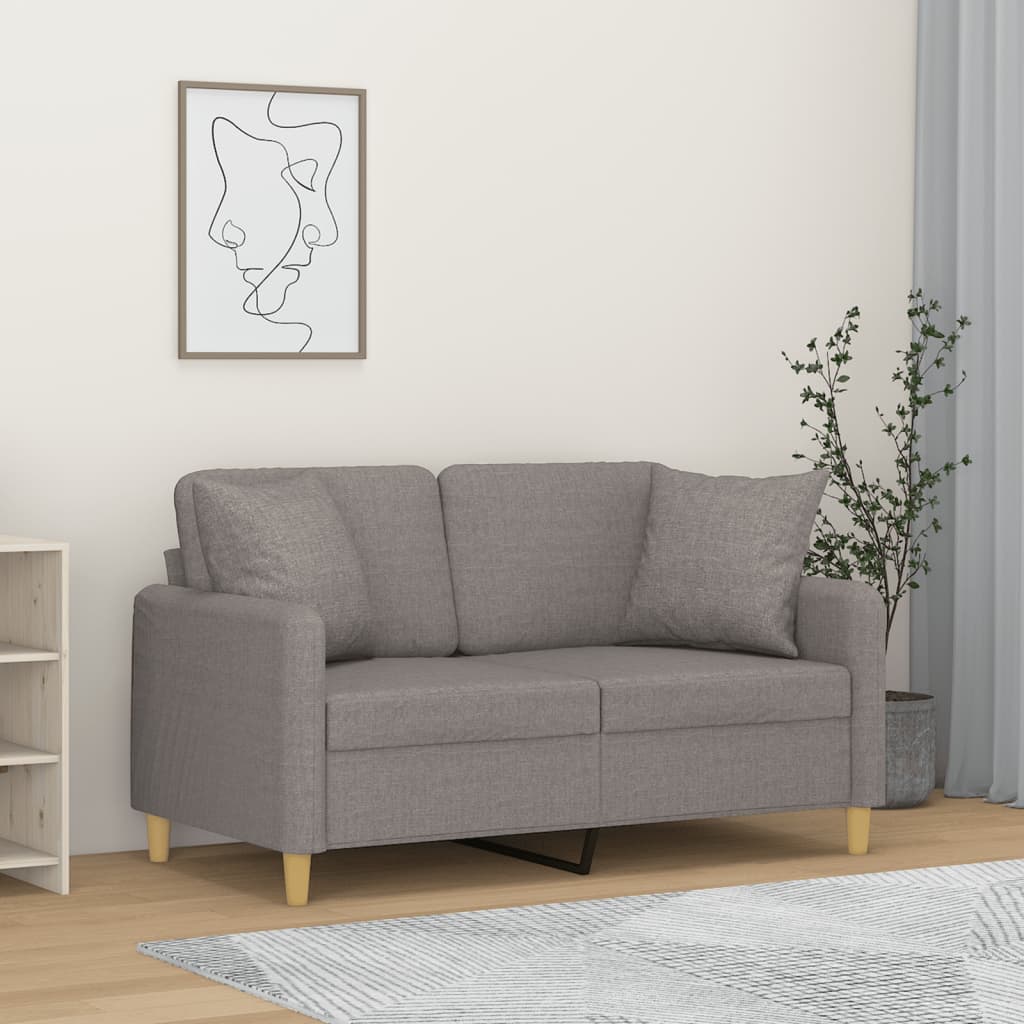 vidaXL 2-miestna pohovka s vankúšmi svetlosivá 120 cm látka