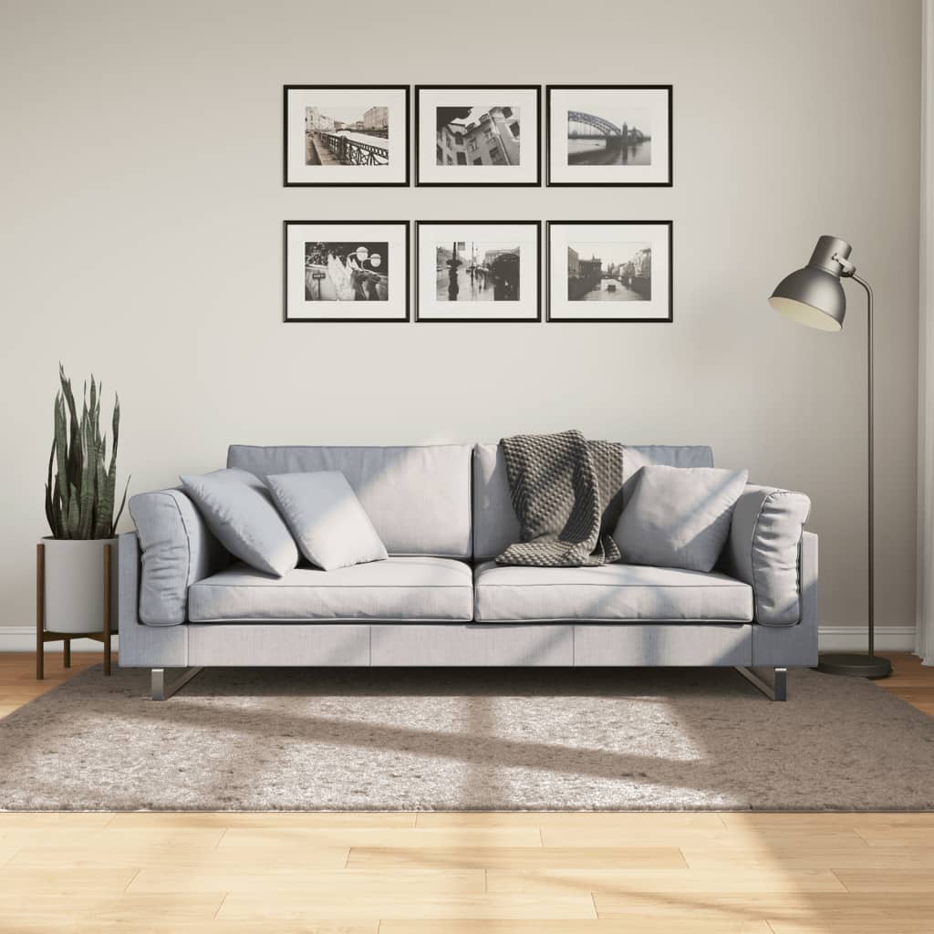vidaXL Shaggy koberec PAMPLONA, vysoký vlas, moderný, béžový 140x200cm