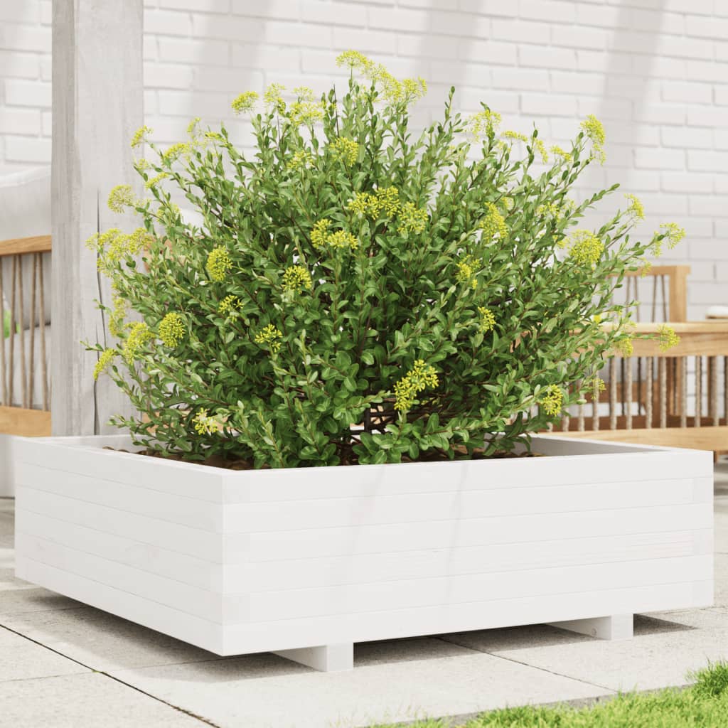 vidaXL Záhradný kvetináč biely 80x80x26,5 cm masívna borovica
