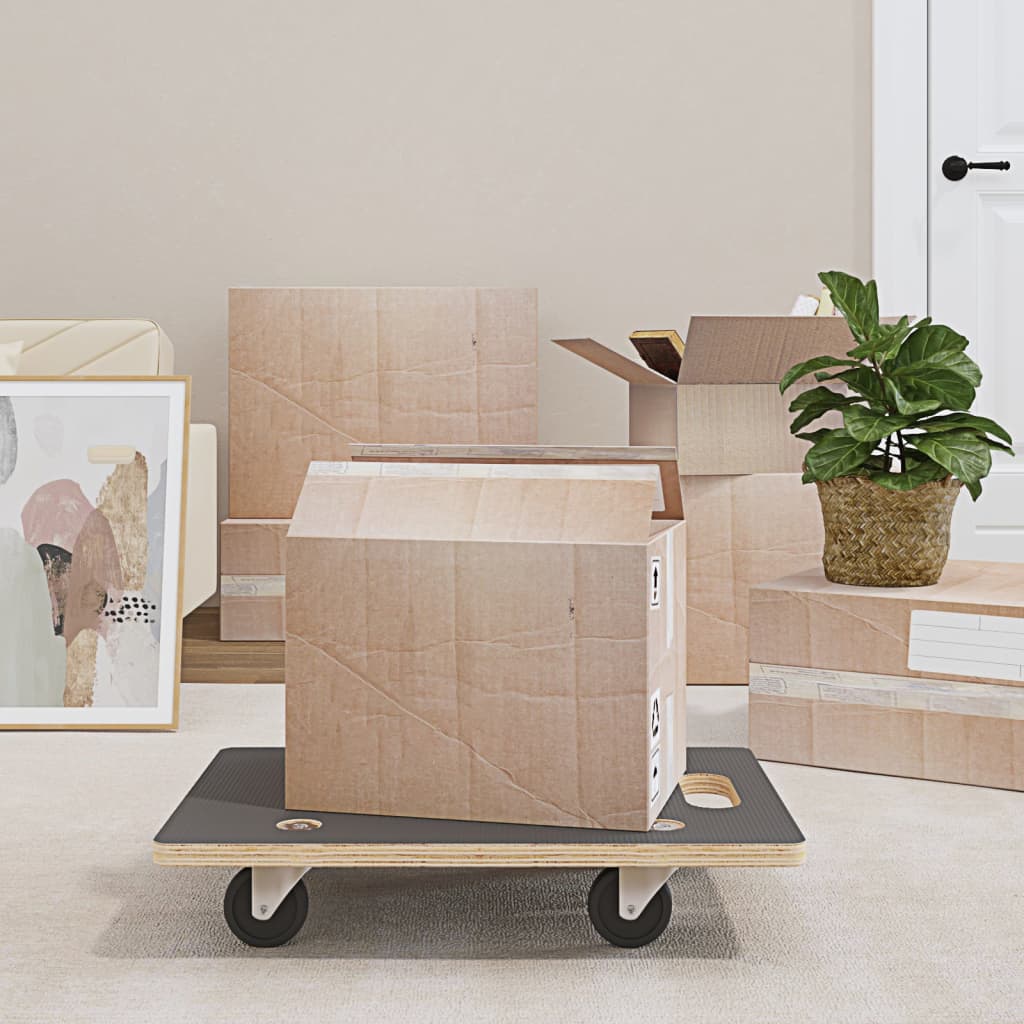 vidaXL Transportné vozíky 2 ks, obdĺžnikové 60x40x11,5 cm 250 kg