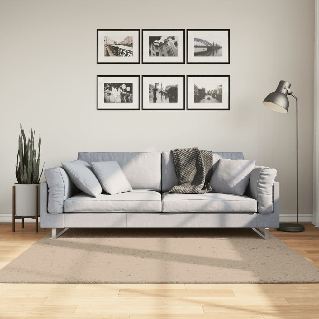 vidaXL Koberec HUARTE s krátkym vlakom umývateľný pieskový 160x160 cm