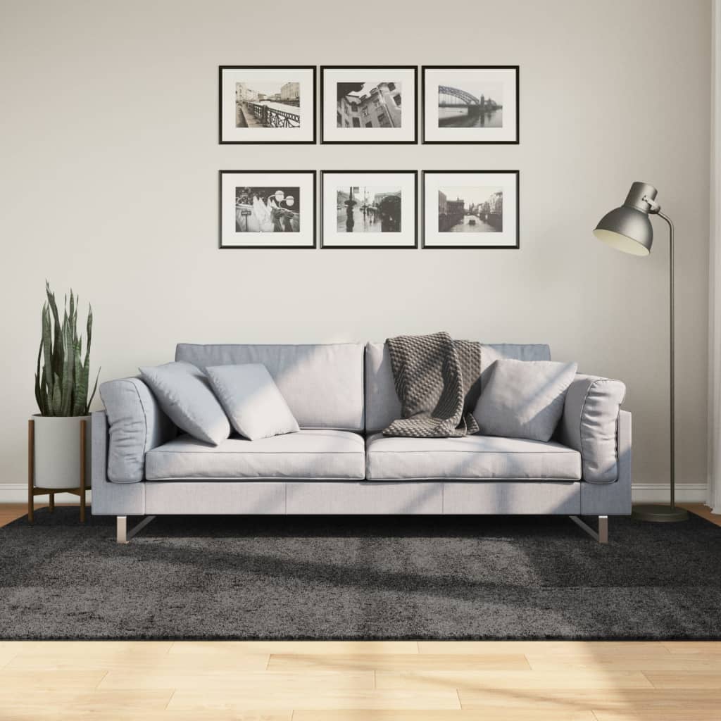 vidaXL Shaggy koberec PAMPLONA, vysoký vlas moderný antracit 160x230cm